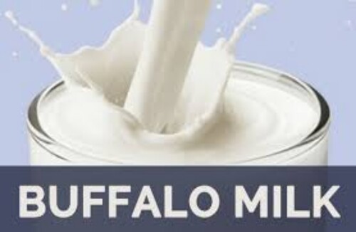 100 प्रतिशत शुद्ध और ताजा गाढ़ा मलाईदार कच्चा भैंस का दूध आयु समूह: बेबी