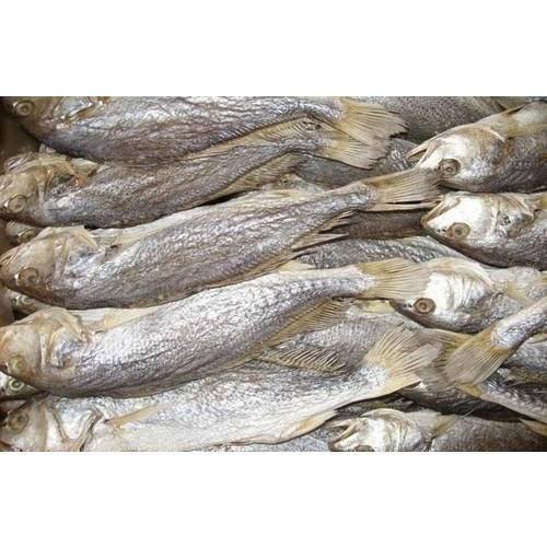 Healthy Goodness Of Proteins Rich In Taste Highly Nutritional Frozen Dry Fish 