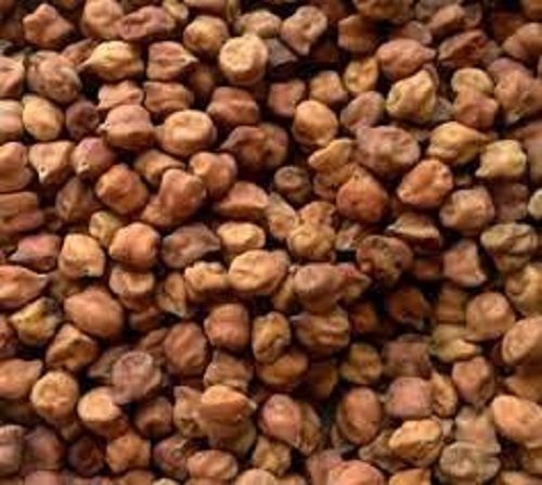 Pack Of 1 Kilogram Natural Shape Common Cultivated Dried Desi Chana 