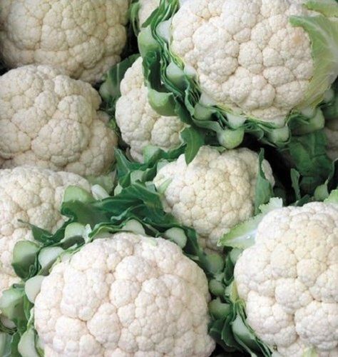 High In Fiber And B Vitamins Pesticides Free Healthy Nutritious Fresh Cauliflower