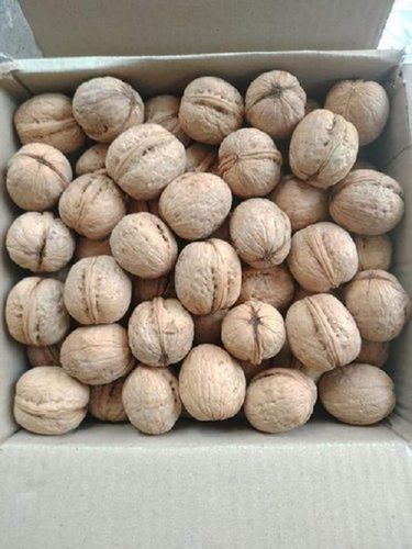 Organic 100% Pure Brown Color Moisture Percentage 5% Dried Kashmiri Walnut Shell