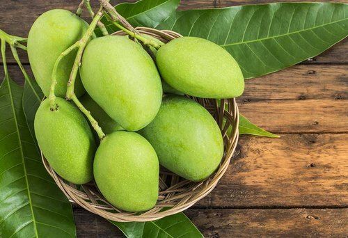 Naturally Grown Antioxidants And Vitamins Enriched Healthy Farm Fresh Tasty Mango