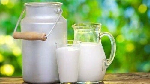 Rich In Protein Vitamins Calcium Natural Healthy And Fresh White Cow Milk 