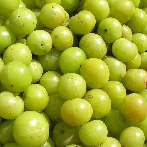 Green Naturally Grown Healthy Organic Farm Fresh And Pure Natural Raw Amla