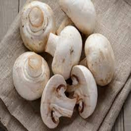 Rich Source Of Vitamins And Minerals Highly Nutritious White Fresh Mushroom 