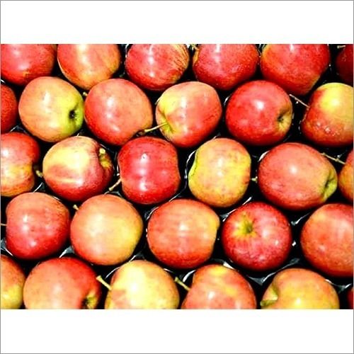 Common Round Red Golden High Quality A Grade Healthy Sweet Apple For Everyone