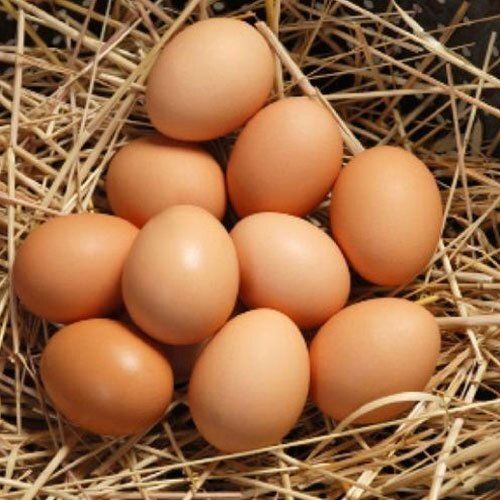 100% Fresh And Natural Brown Ovel Shape Egg