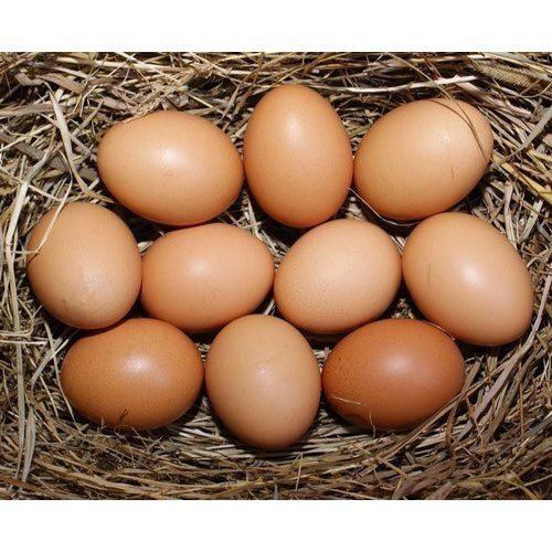 100% Rich In Protein Ovel Shape Brown Egg