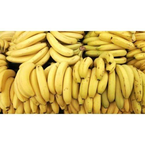 Naturally Grown Antioxidants And Vitamins Enriched Healthy Farm Fresh A Grade Yellow Banana 