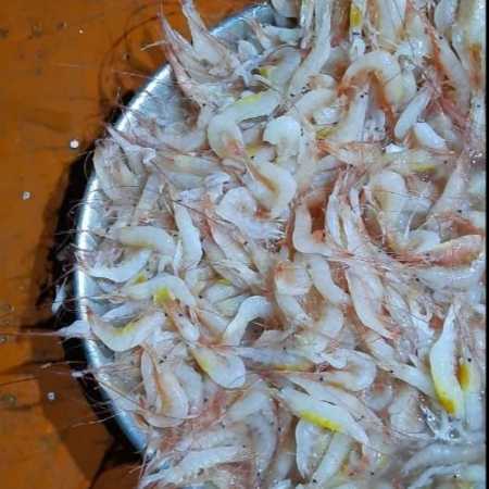 Wholesale Price Export Quality Vennamei Prawn Seafood for Restaurant