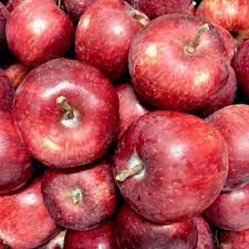 Rich In Vitamins And Minerals Natural Fresh Healthy Sweet Taste Red Apple 