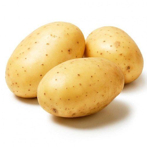 Health And Delicious Good Source Of Fiber Vitamins Round Fresh Potato