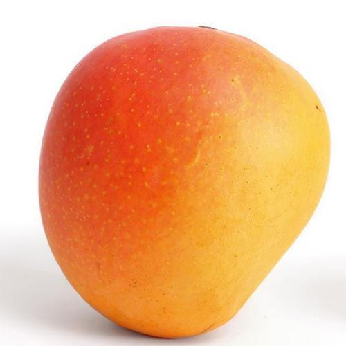 Indian Origin Commonly Cultivated Medium Size Sweet Tasty Yellow Mango - Whole Fruit Yellow Color Round Shape Low Sugar GMO-Free Rich in Vitamin C and Antioxidants