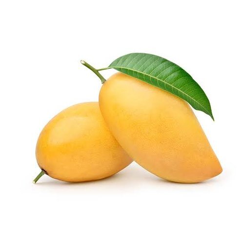 Natural Farm Fresh Mango - Medium Size Yellow Color Round Shape | Sweet Taste Nutrient-Rich High in Vitamins A and C Versatile for Smoothies and Salads