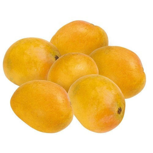 Common Yellow Round Shape Medium Size Farm Fresh Naturally Grown Mango