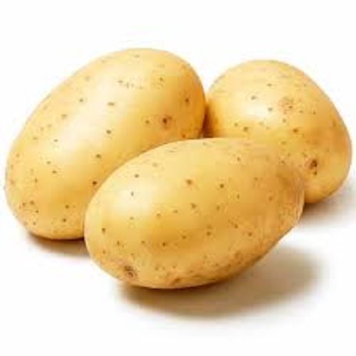 Naturally Grown And Raw Elliptical Shaped Preserved Fresh Potato, 1 Kg 