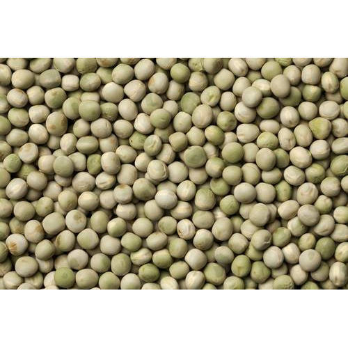 Nutrient-Dense Highly Protein Dietary Fiber Healthy Pea Seed 