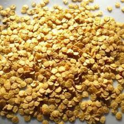 Dried Green Chilli Seeds For Agriculture Industry and Rooftop Gardening