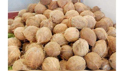 Rich In Vitamins And High Nutritional A Grade Natural Husked Coconut For Cooking 