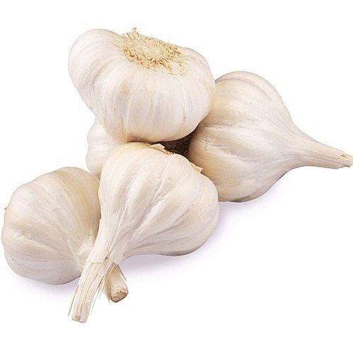 Round Natural And Healthy Brown Fresh Garlic For Salad And Tasty Dishes