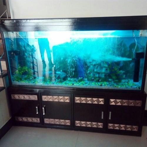 Beautiful Designed Wall Mounted Wonderful Strong Glass Fish Aquarium 