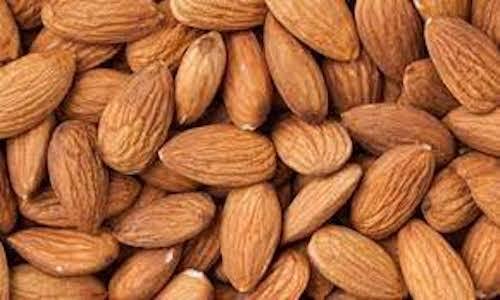 Roasted Almonds - Lightly Salted, Nutty Sweet Flavor Profile | 0% Broken, 6-12 Months Shelf Life, Rich in Nutrients