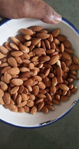 Hygienically Processed High Protein Healthy And Fresh Gluten Free Almond Nut