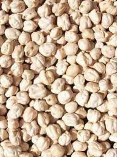 Rich In Protein And Good At Taste Good Quality Organic Whole Kabuli Chana 