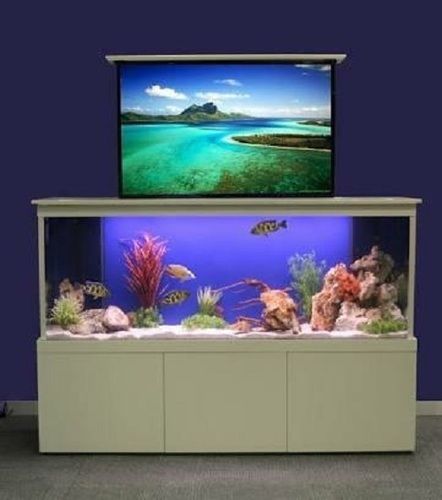 Wall Mounted Wonderful Strong Glass Beautifully Designed Fish Aquarium 