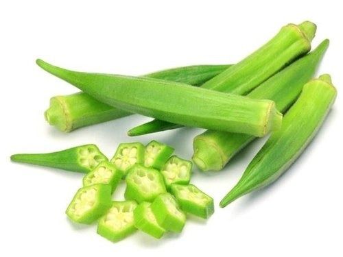 100 % Natural And Pure A Grade Fresh Green Lady Finger For Cooking Moisture (%): 65%