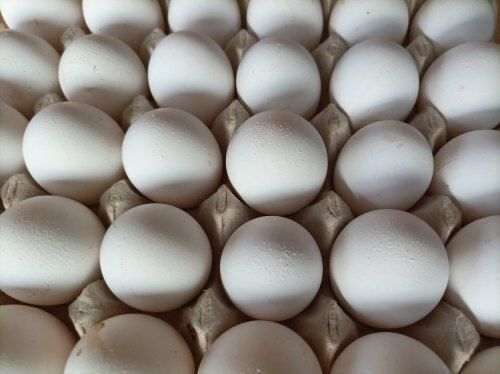 Good Source Of Proteins And Minerals Healthy Fresh Natural Eggs