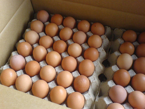 Good Source Of Proteins And Minerals Rich In Fats Fresh Natural White Eggs Egg Origin: Chicken