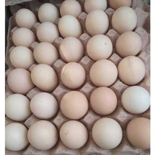  प्रोटीन और खनिज का अच्छा स्रोत स्वस्थ ताजे प्राकृतिक सफेद अंडे