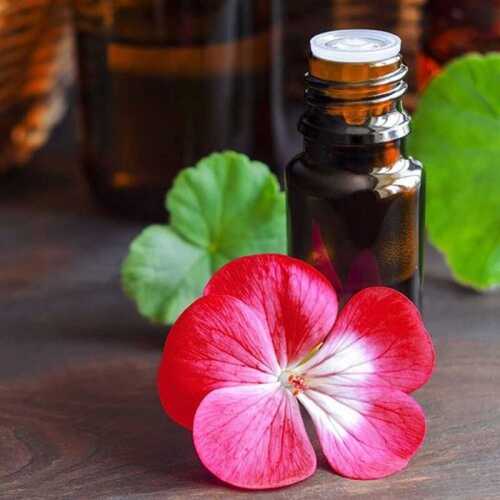 100% Natural and Pure Geranium Oil For Making Ayurvedic Remedies