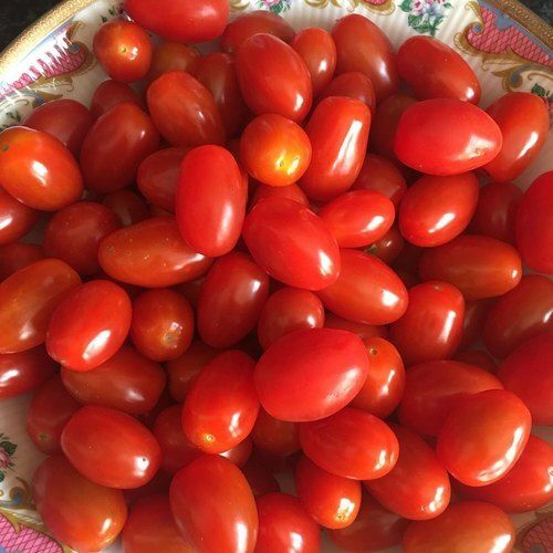 A Grade Farm Fresh Naturally Grown Healthy Dark Red Tomato For Cooking