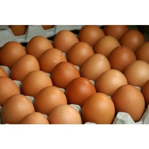 Healthy Oval Shape Rich In Protein Fresh Brown Poultry Egg 