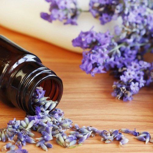 Natural And Pure Herbal Extracts Essential Lavender Oil With 12 Month Shelf Life 