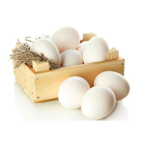 Proteins Rich Fresh Healthy Oval Shape Poultry Farm White Egg