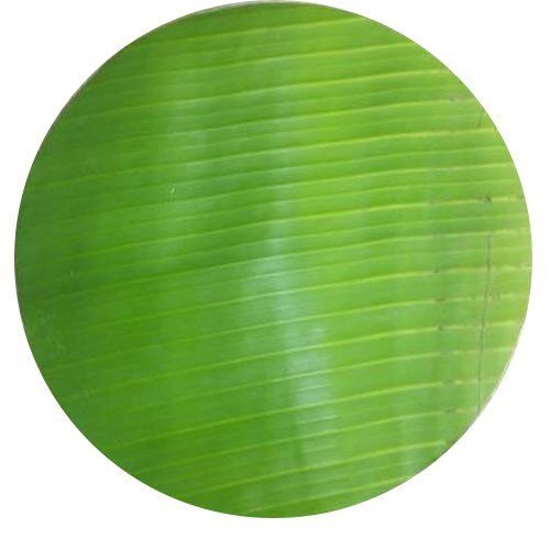 Round Shape Green Pure And Fresh Chemical Free 12 Inch Banana Leaves Shelf Life: 1` Week