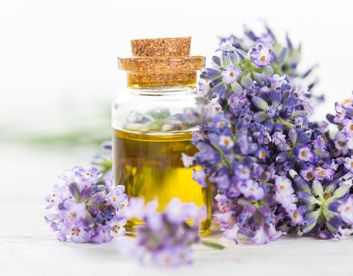 Yellow Natural And Pure Essential Lavender Hydrosol Oil For Cosmetic And Aromatherapy Usage