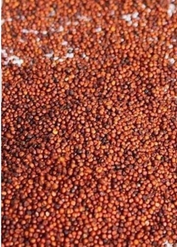 Red Dry Finger Millet - 4mm-5mm Size, 8.17% Moisture, 100% Purity | High-Quality, Low Glycemic Index Cereal, Rich in Dietary Fiber and Essential Nutrients