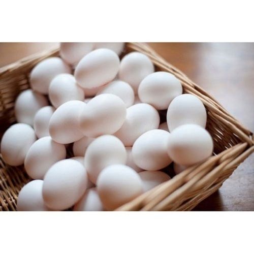 Helps To Reduce Cholesterol Levels And Lower Heart Disease Boost Immune System With Poultry Eggs Egg Size: Oval