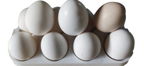  भारतीय मूल के अंडाकार आकार के पोषक तत्व रिच व्हाइट पोल्ट्री एग 