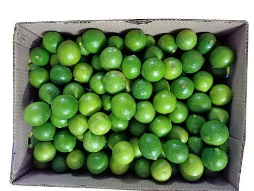 Antioxidants And Vitamins Enriched Healthy Farm Fresh Green Lemon For Cooking