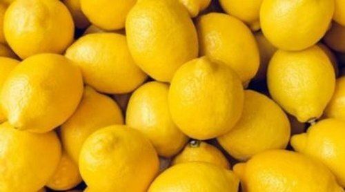 Fight Against Disease Higher Vitamin With 100% A Grade Maharashtra Fresh Lemon