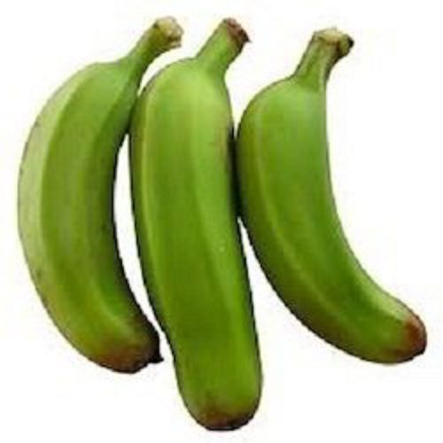 Fresh Green Food Grade Open Air Cultivated 6 Inch Small Size Raw Banana