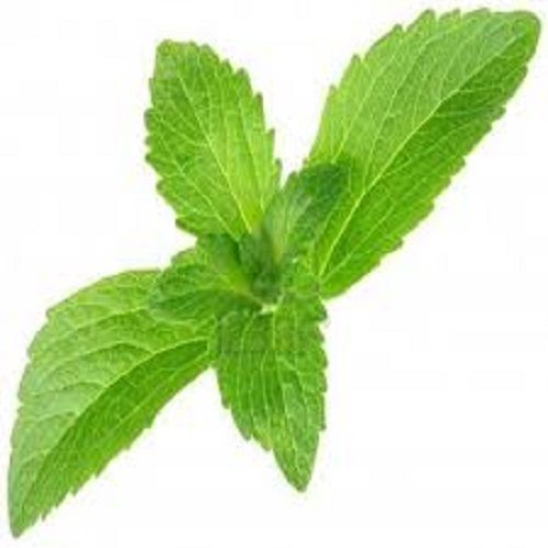 P Fresh Natural Sweetener Dried Healthy Sweet Taste Stevia Leaf 