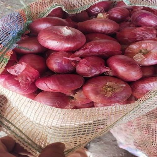 A Grade Maharashtra Nashik Pink Onion, Packaging Size: 50 Kg