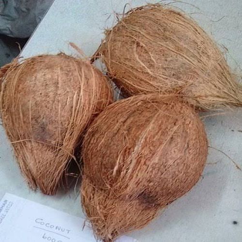 A Grade Solid Fully Husked Coconut In Packaging Size Medium Diamond Shape