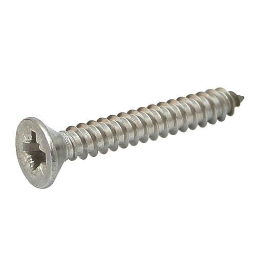 Corrosion-Resistant Stainless Steel Csk Head Wall Screw